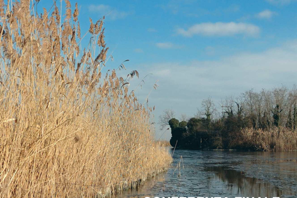 CONTRATTO DI AREA UMIDA DEL SISTEMA DELLA LAGUNA DI CAORLE